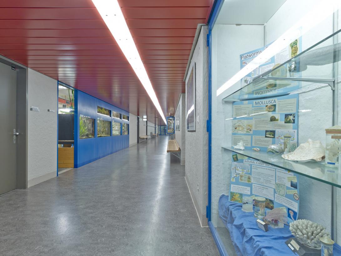 Korridor im Biologietrakt mit Schaukästen